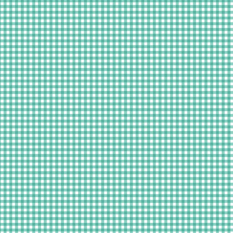 Makower Basics 920/T6 Turquoise Gingham