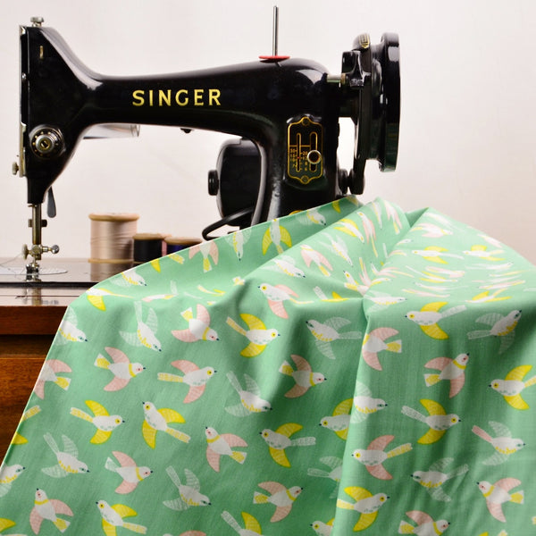 Dashwood Studio Cuckoo's Calling CUKO1083 Teal Cuckoos