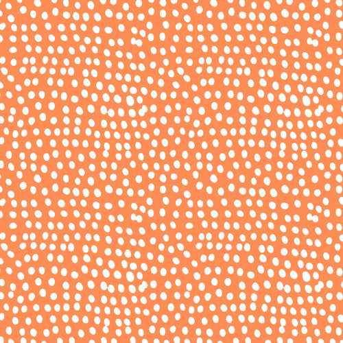 Dashwood Flurry 2000ORANGE Orange